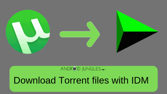 Download Torrent files Using IDM