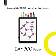 Bamboo-paper-premium